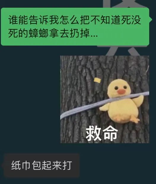 网站4